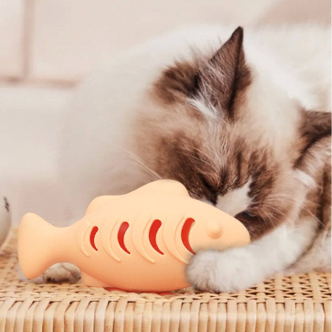 Jouet pour Chat Poisson