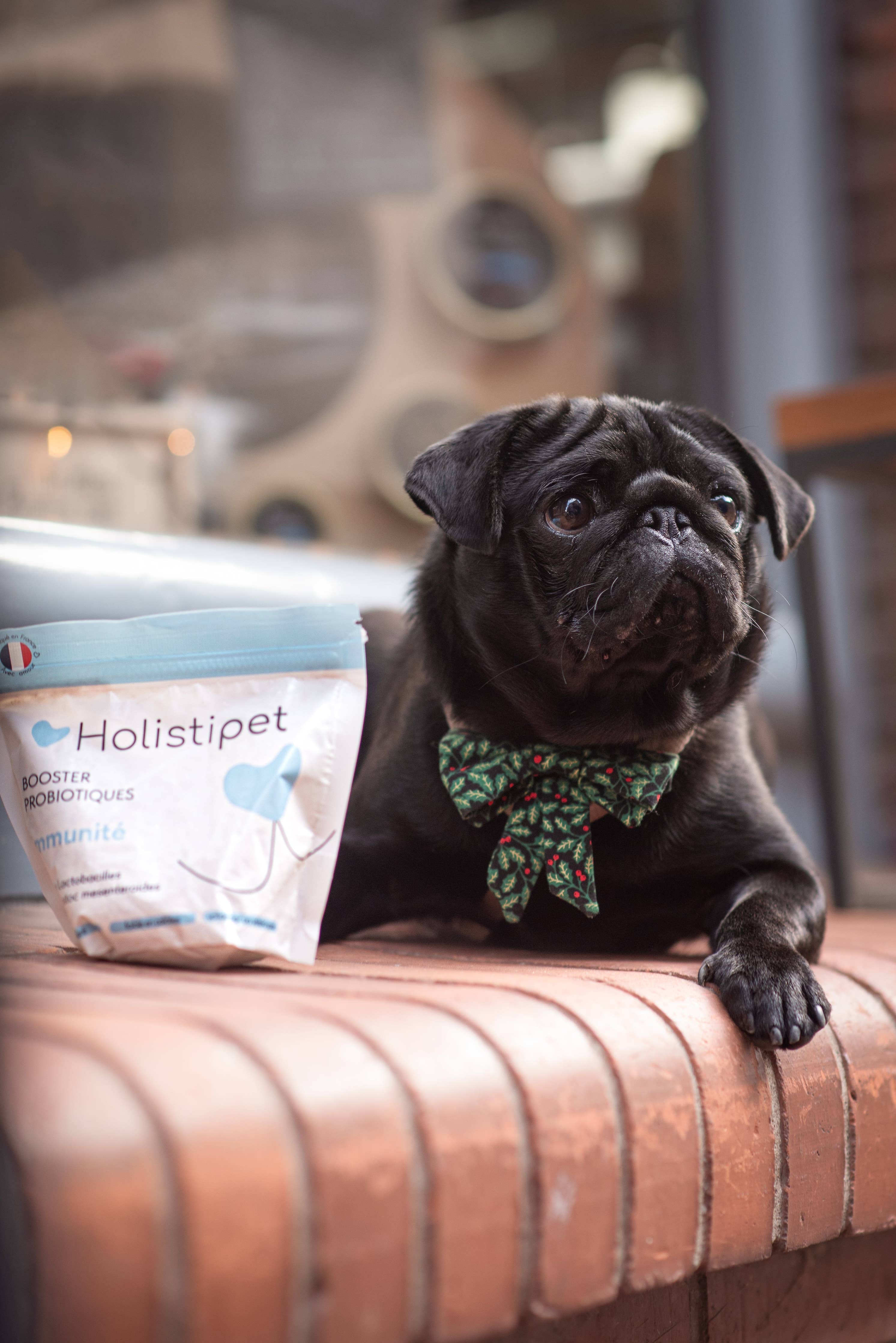 Booster Probiotiques