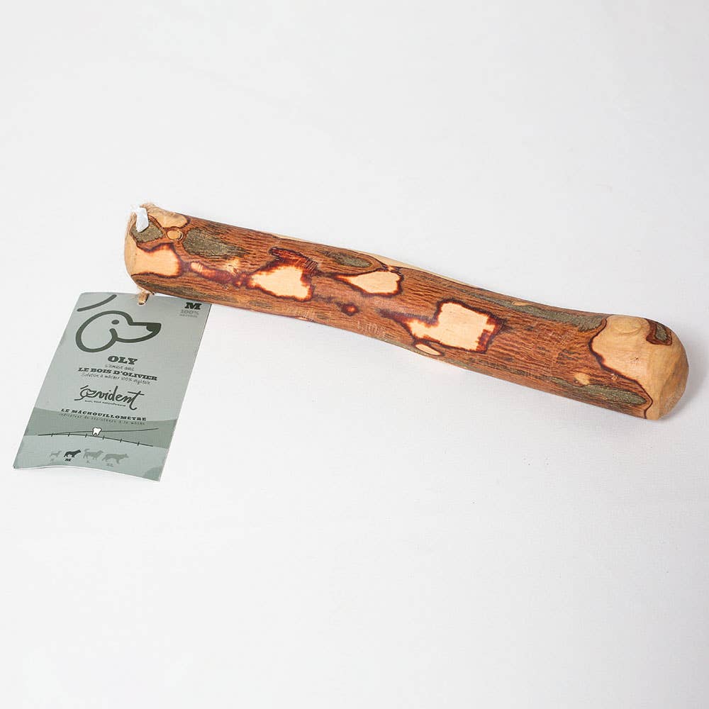 OLY - Bâton en bois d'olivier à mâcher pour chien