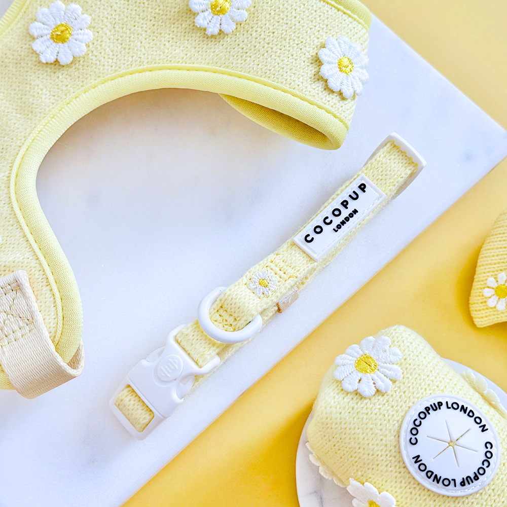 Collier Buttercup Pup – Cocopup London