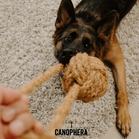 CocoBall CANOPHERA – Jouet en Corde de Noix de Coco