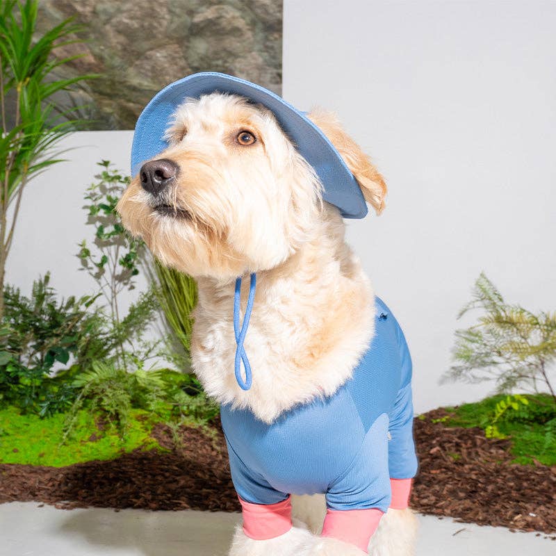 Bob Rafraîchissant Outside+ – Puppy Gallery | Coloris Bleu