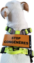 Scratch recto/verso CaniCode® STOP CONGÉNÈRES