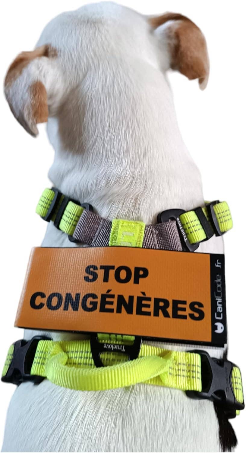 Scratch recto/verso CaniCode® STOP CONGÉNÈRES