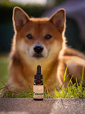 Huile bien-être au chanvre et saumon – 5% pour chien