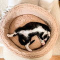 Lit Sherpa - Petits chiens et chats