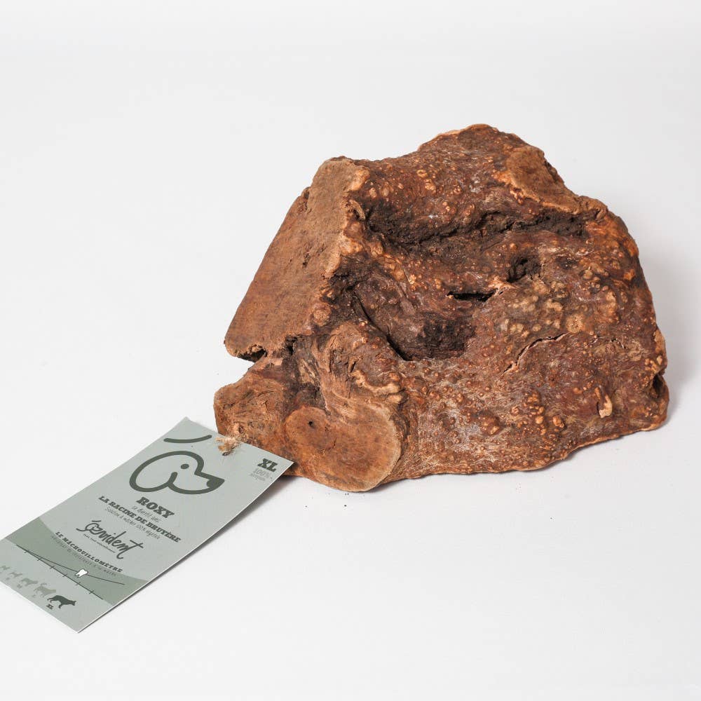 ROXY - Racine de bruyère à mâcher pour chien