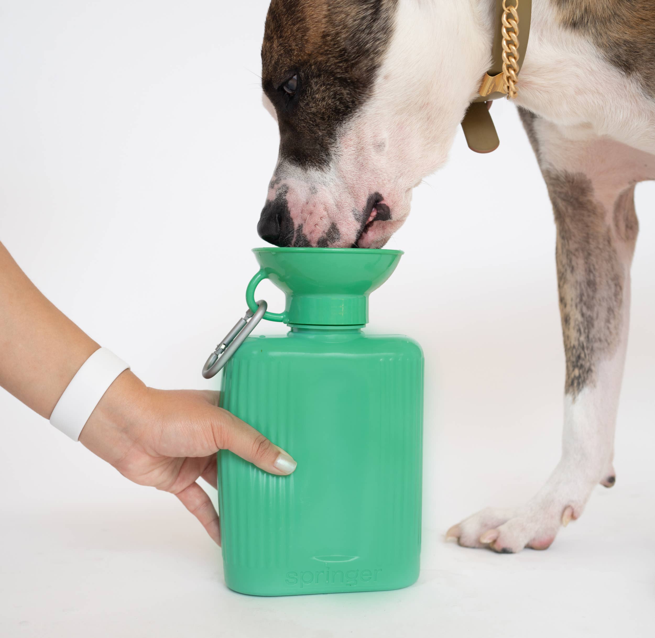 Gourde Portable Springland Pets XXL  — 1,3 L