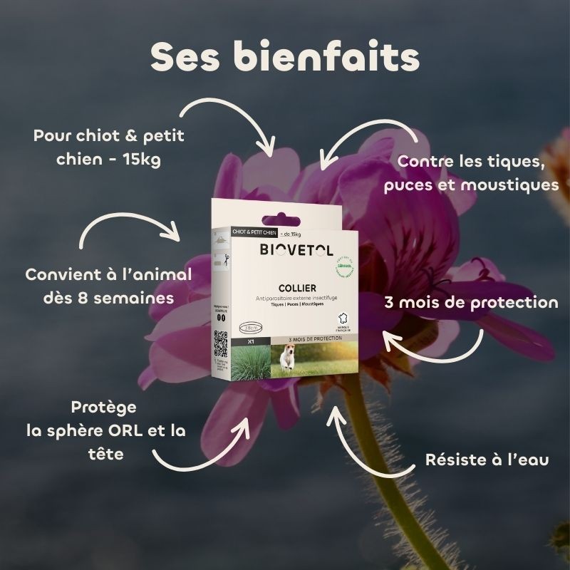 Collier insectifuge - Chiot & Petit Chien