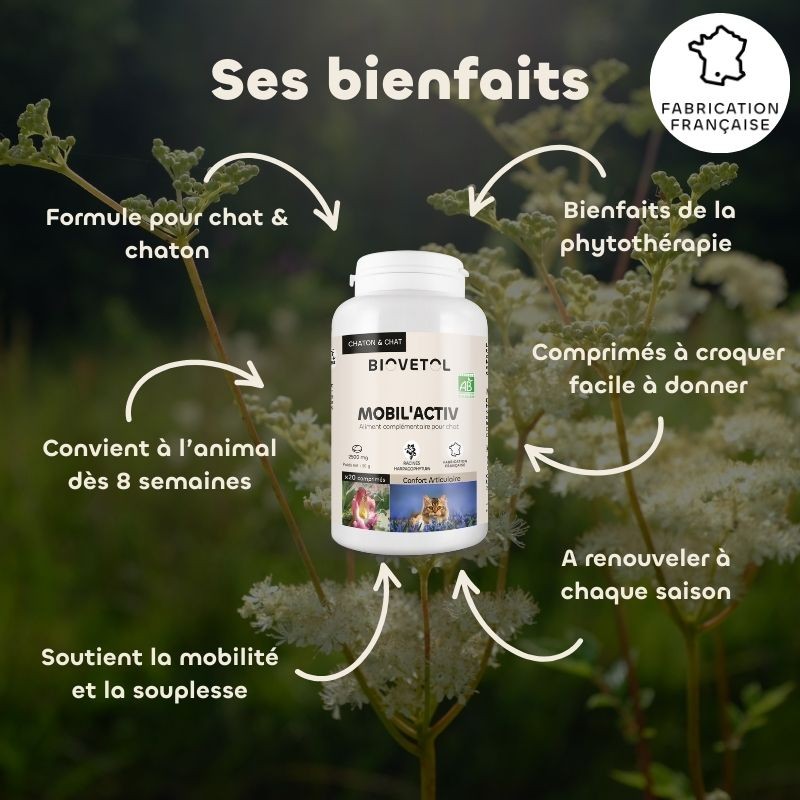 Comprimés Mobil'Activ Chat