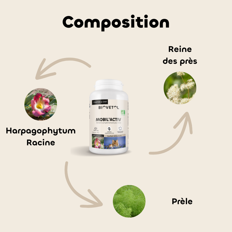 Comprimés Mobil'Activ Chat