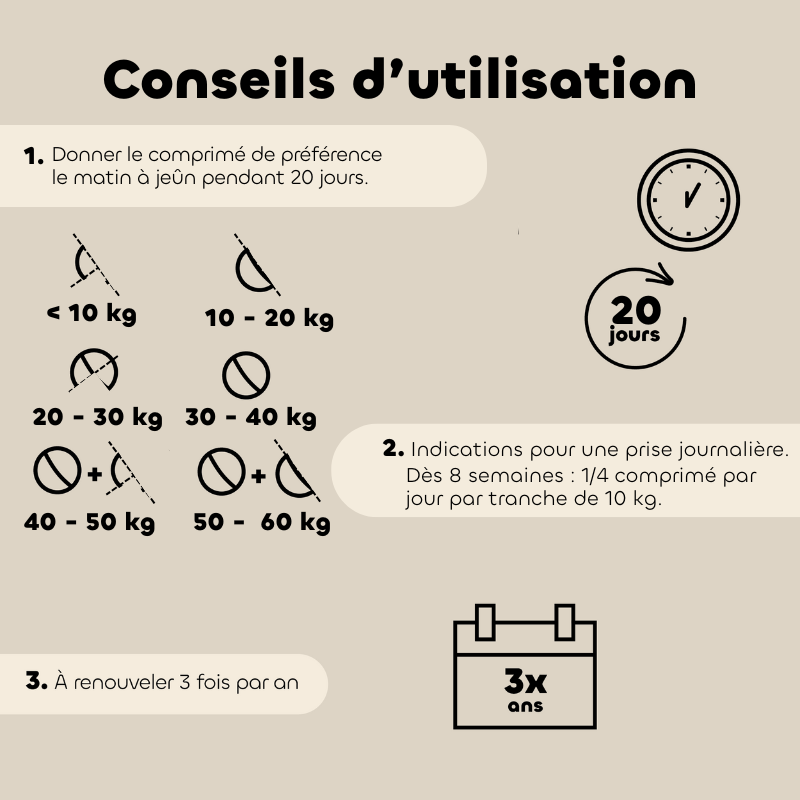 Comprimés Mobil'Activ Chien