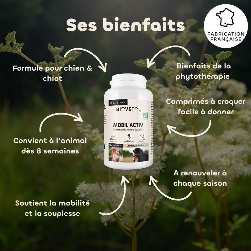 Comprimés Mobil'Activ Chien