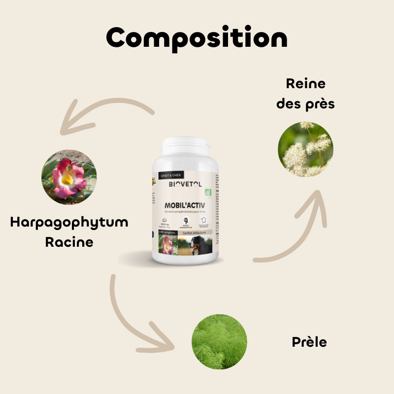 Comprimés Mobil'Activ Chien