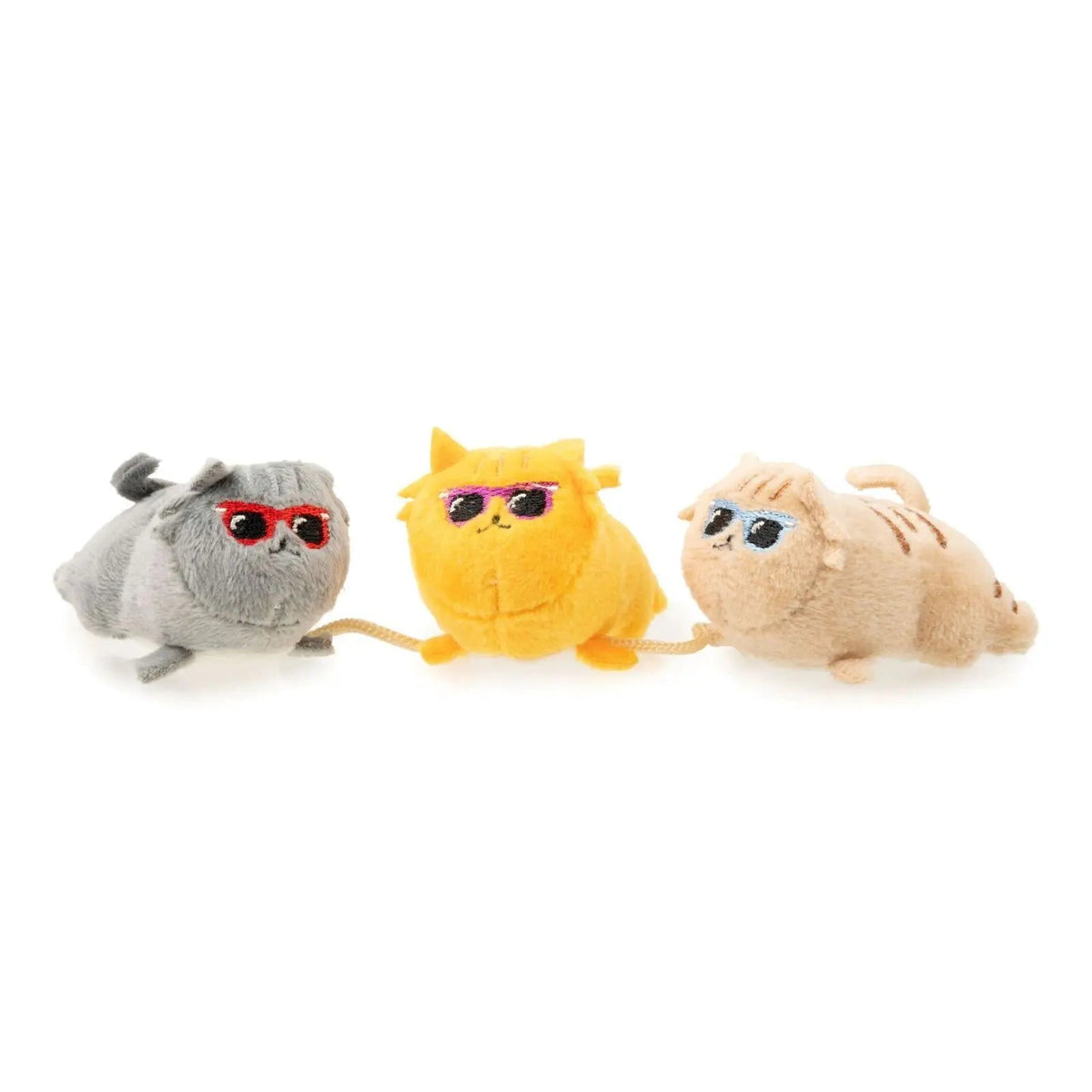 FuzzYard : coolcats fuzzyard.jpg – photographie principale