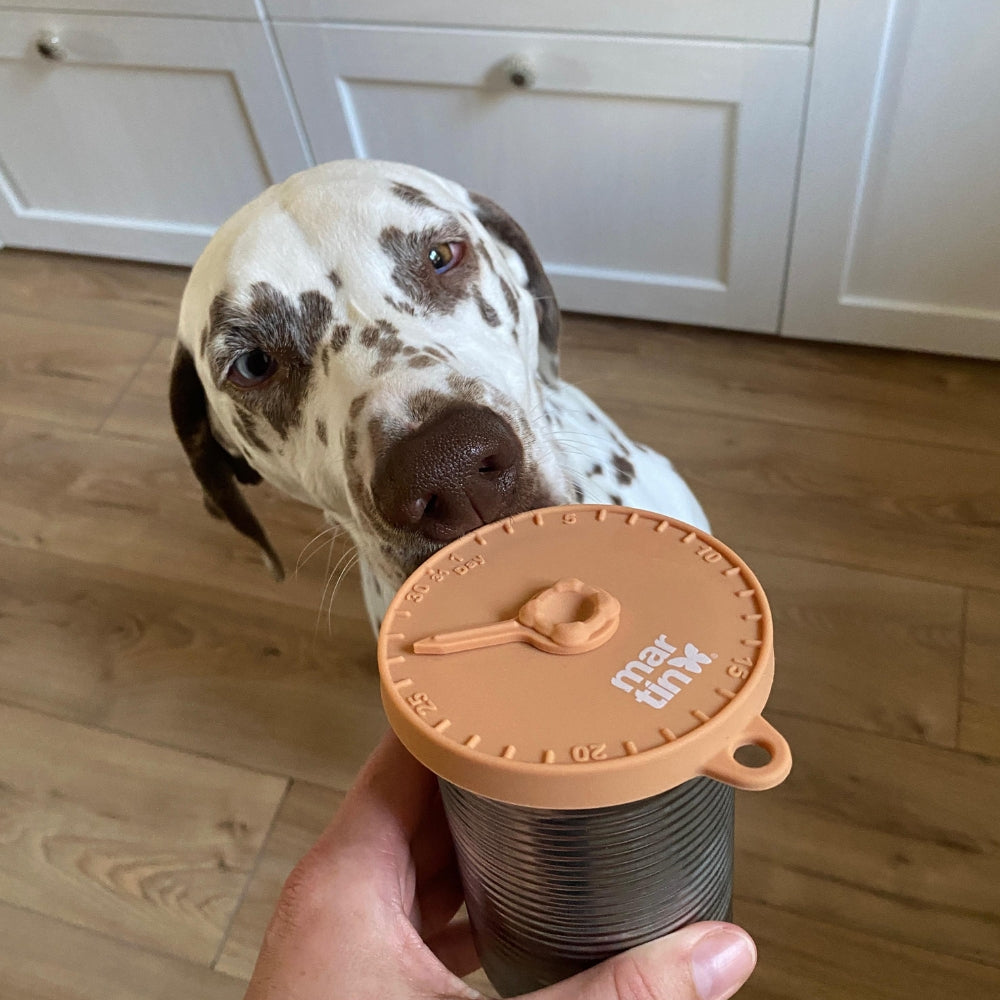 Couvercle de boîte de conserve en silicone –  Qualité alimentaire | 10cm