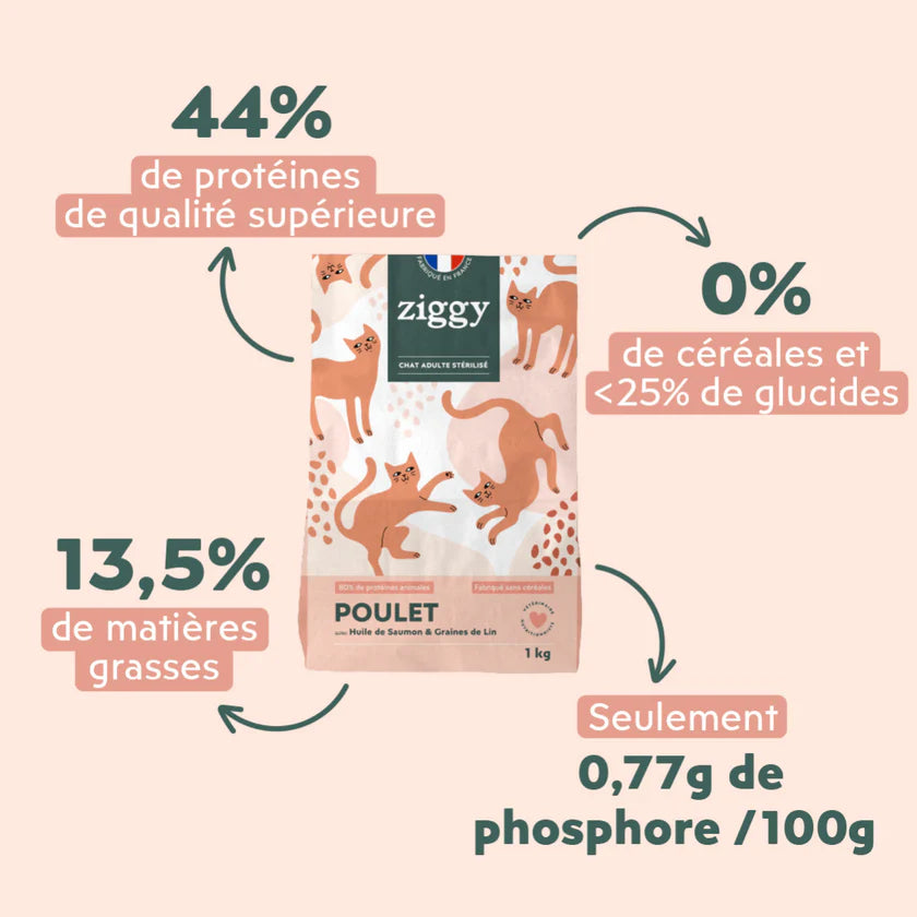 Croquettes Ziggy au poulet, huile de saumon & graines de lin – Chat adulte stérilisé 1kg