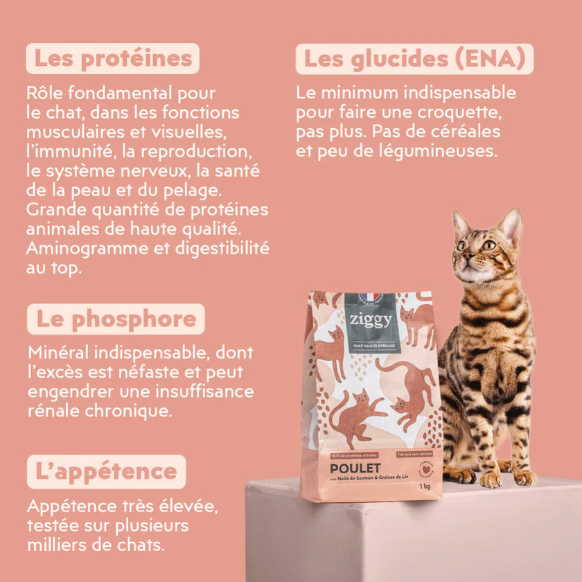 Croquettes Ziggy au poulet, huile de saumon & graines de lin – Chat adulte stérilisé 1kg