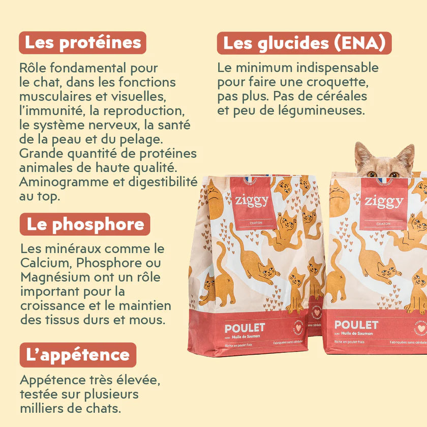 Croquettes Ziggy Chaton au poulet et huile de saumon 1kg