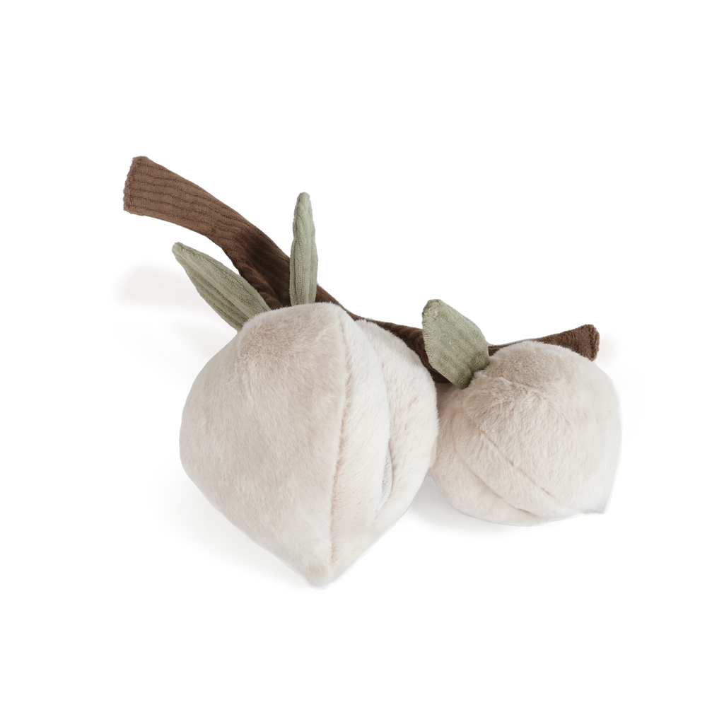 MOMO-Jouet d'enrichissement