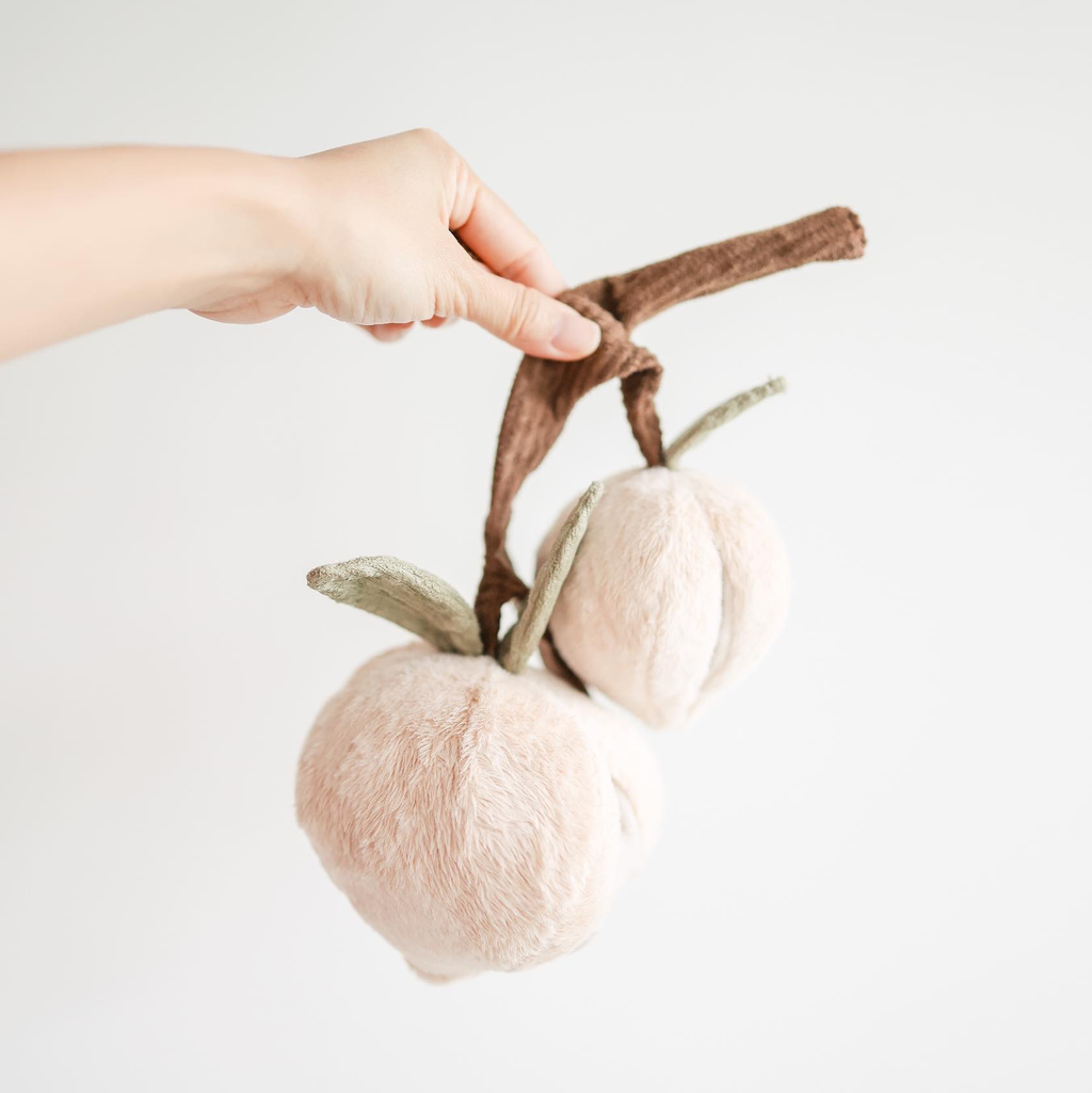 MOMO-Jouet d'enrichissement