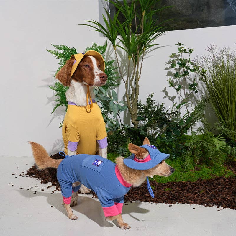 Bob Rafraîchissant Outside+ – Puppy Gallery | Coloris Bleu