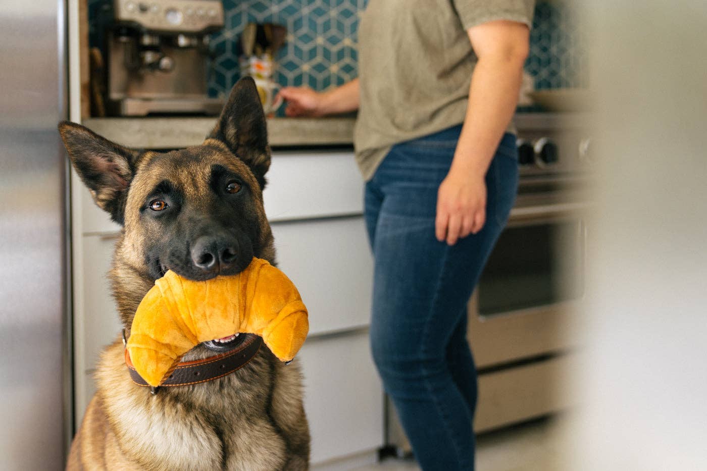 Croissant - Jouet pour chien