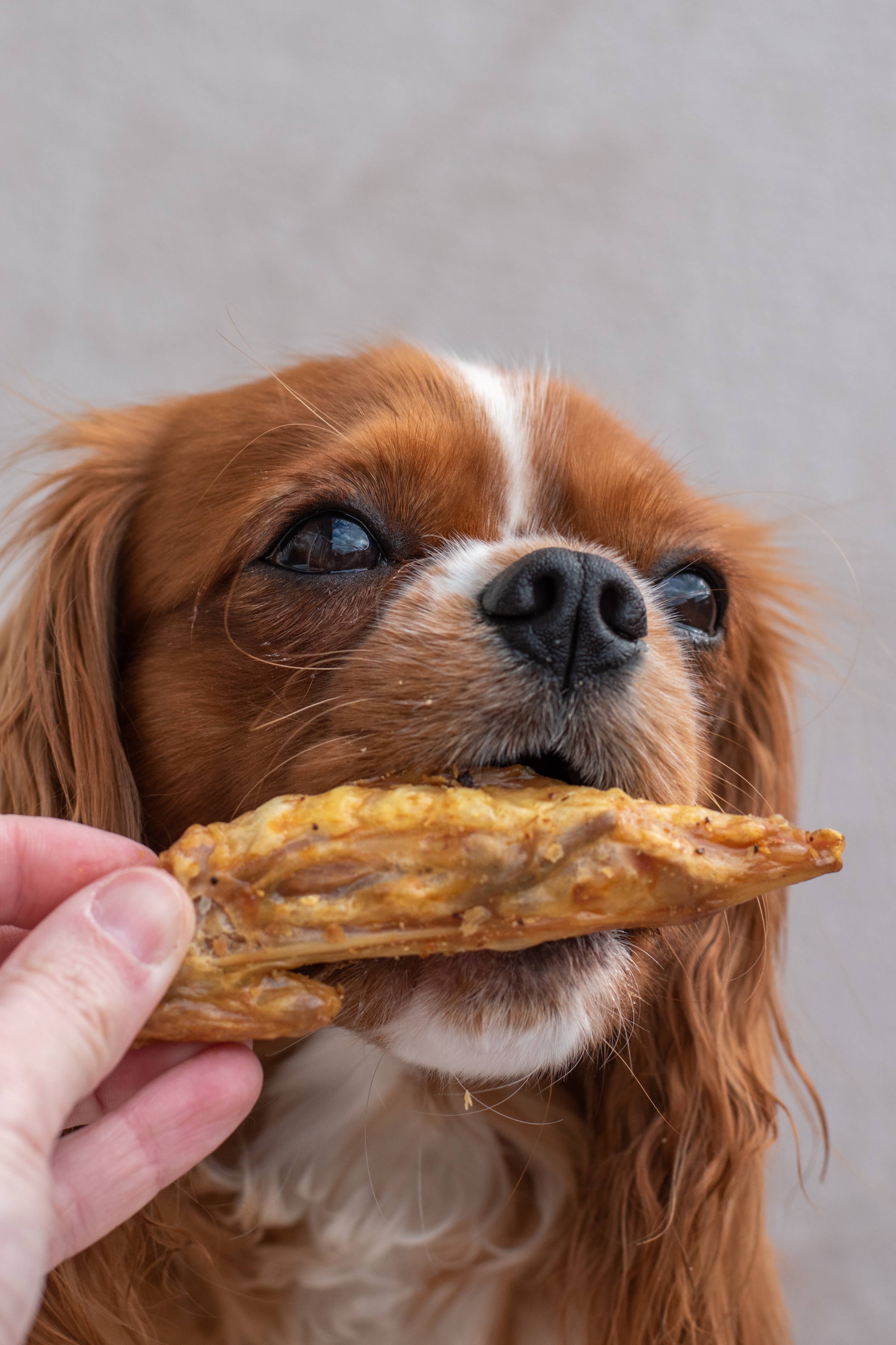 Ailes de dinde - 250g