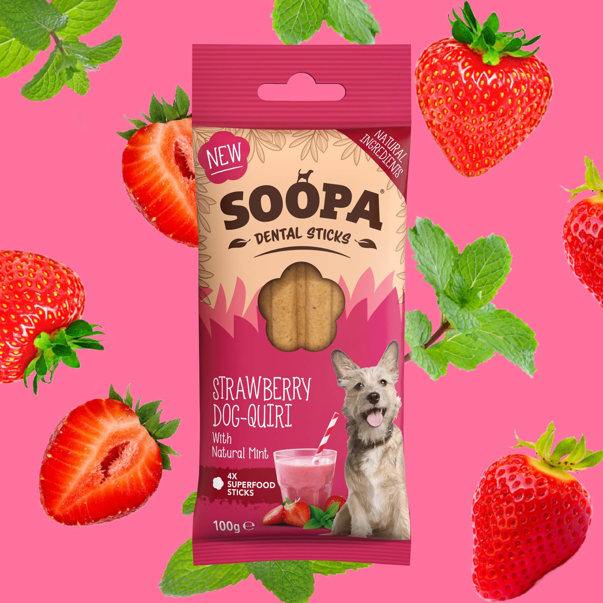 Bâtonnets Dentaires pour Chiens Saveur Fraise Dog-Quiri
