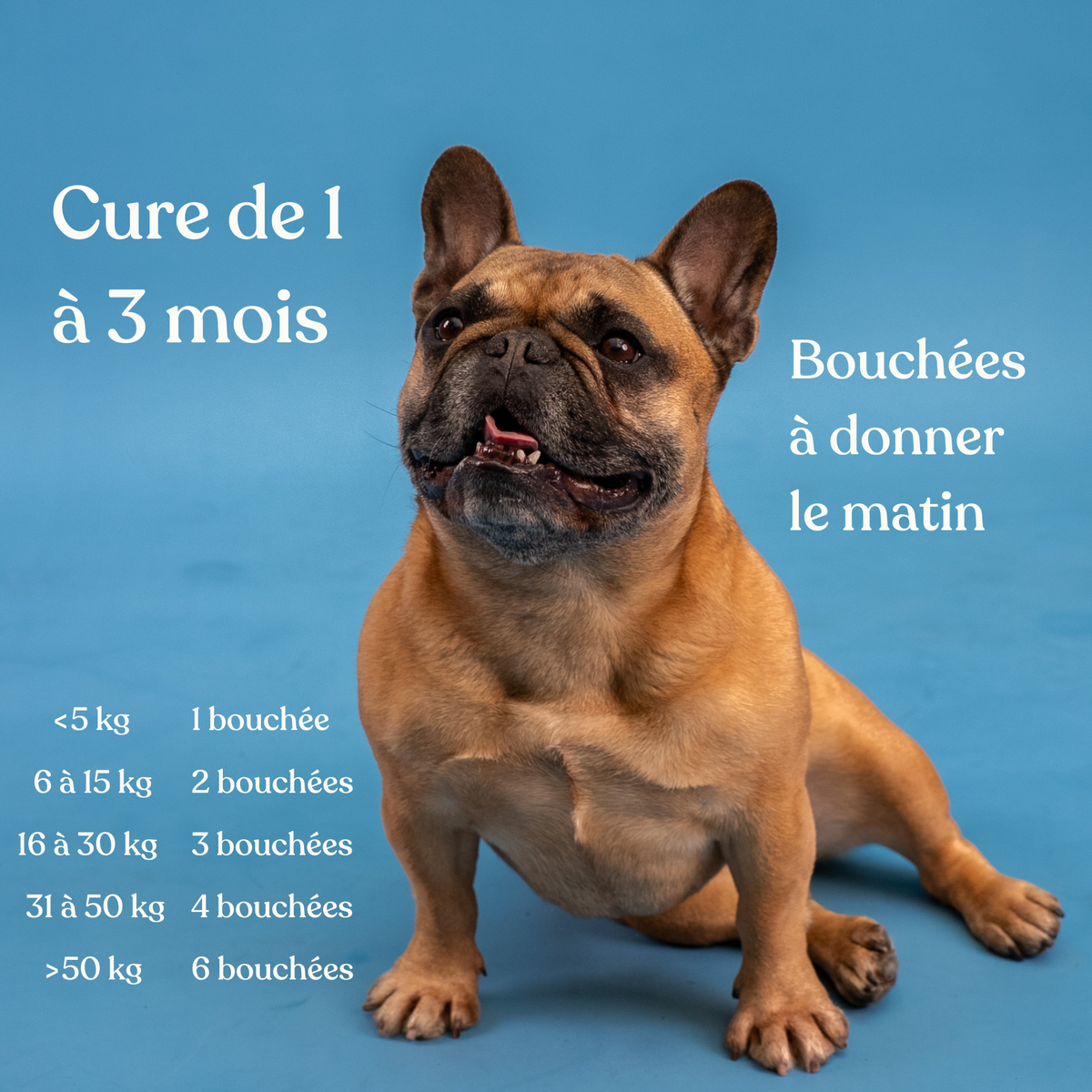 Bouchées articulaires pour chien - 60 bouchées - WELOCA