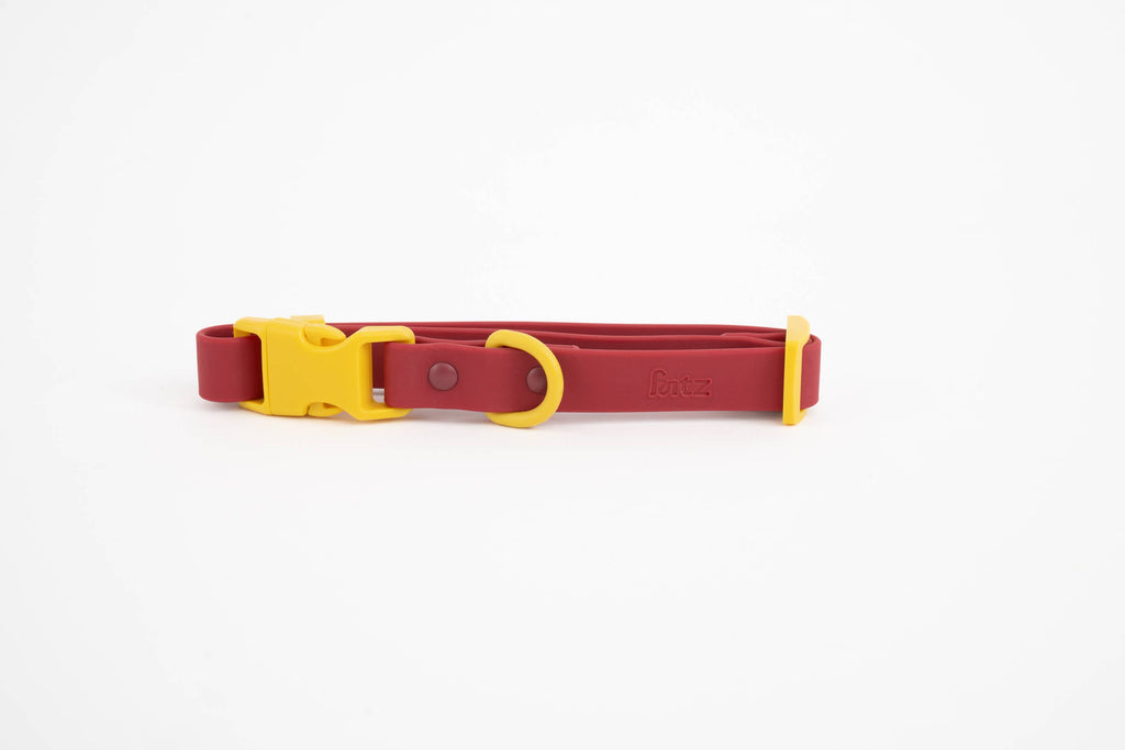 Le collier pour chien Fritz