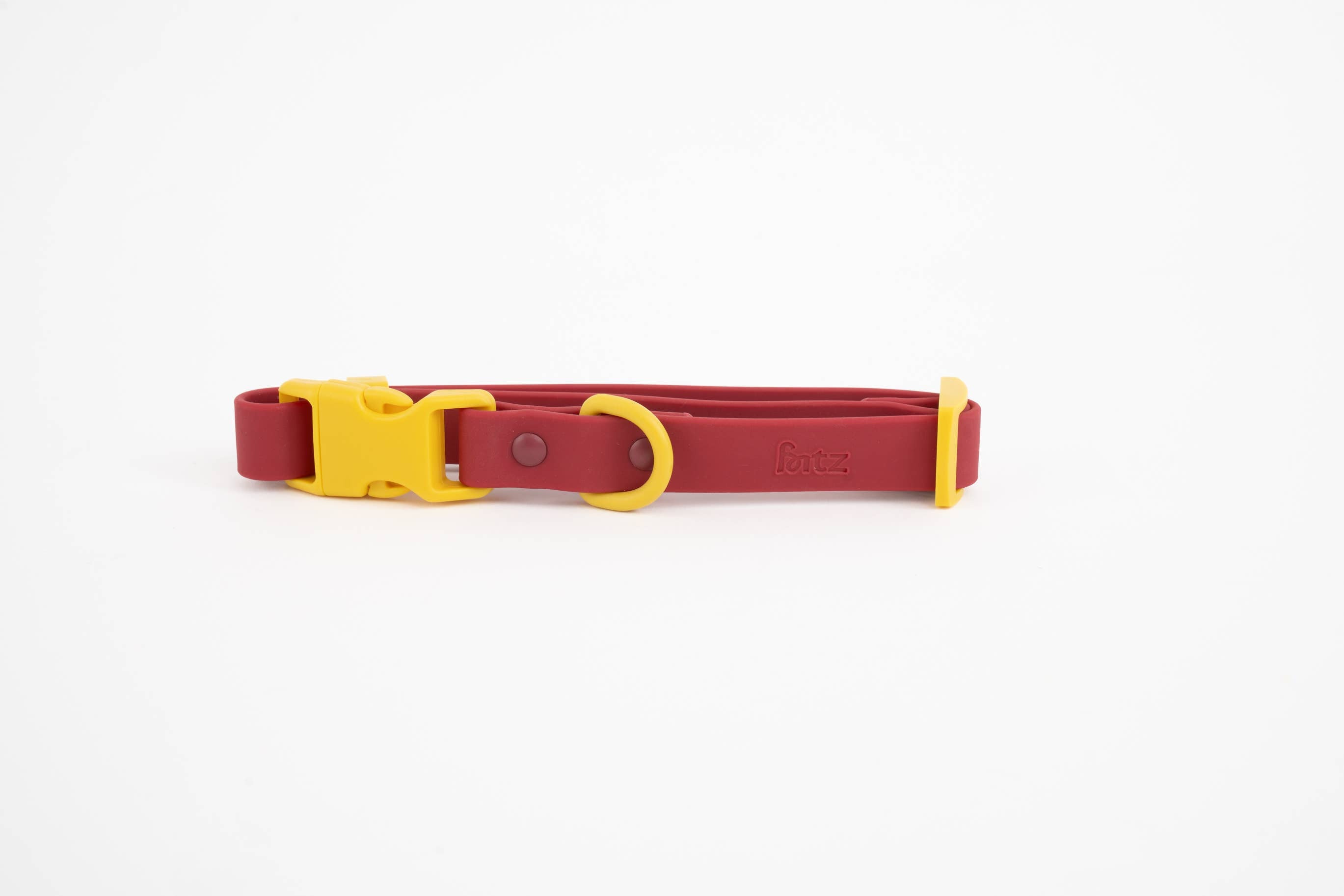 Le collier pour chien Fritz