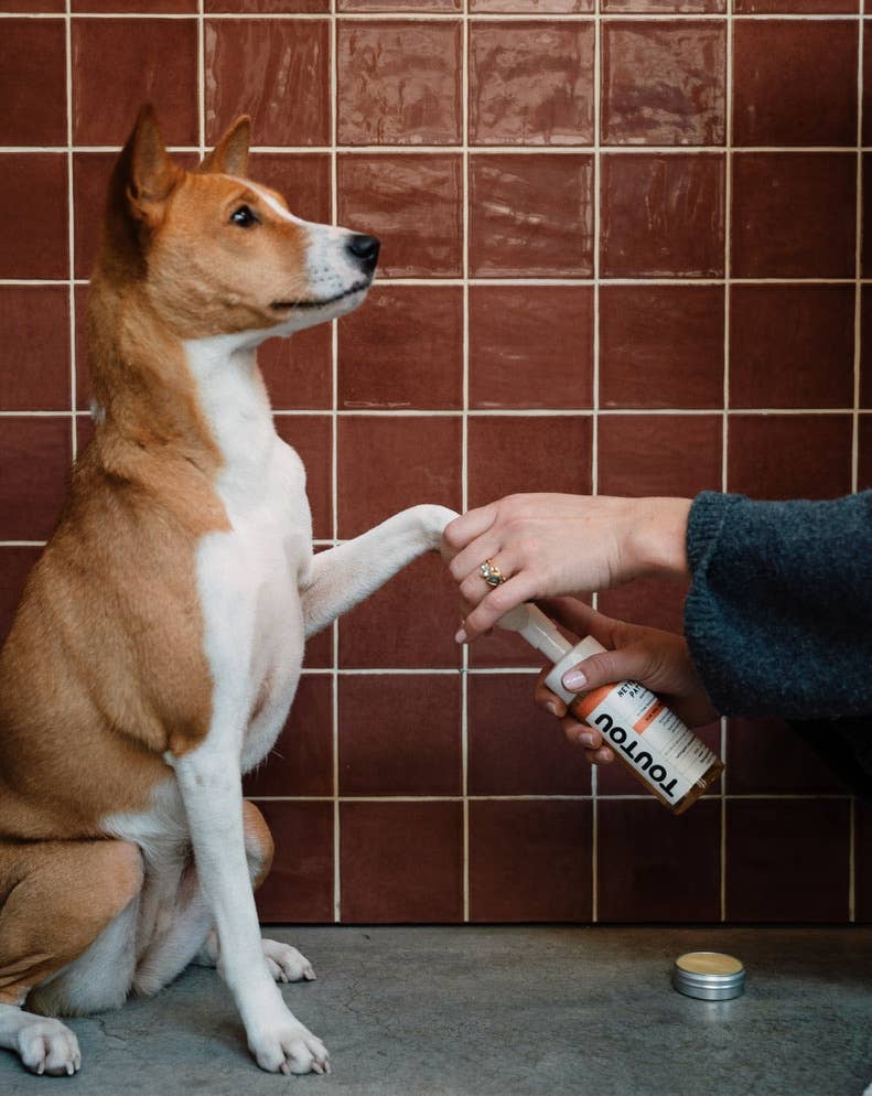 Nettoyant pattes rechargeable pour chiens