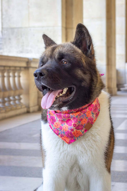 Bandana Bellagio