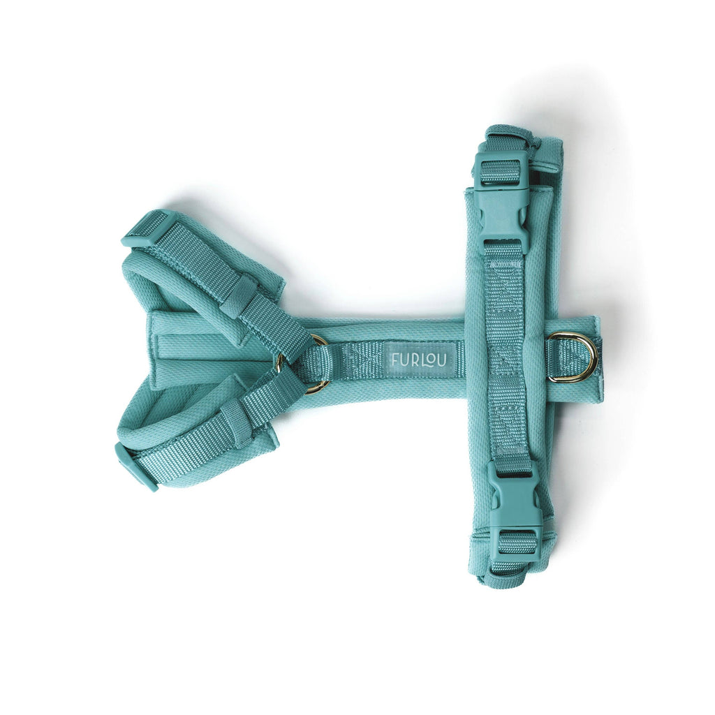 (Pré-commande)Harnais de confort pour chien Furlou – Bleu