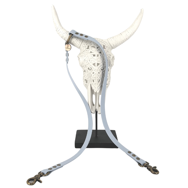 Coupleur laisse chien - biothane - coloris au choix