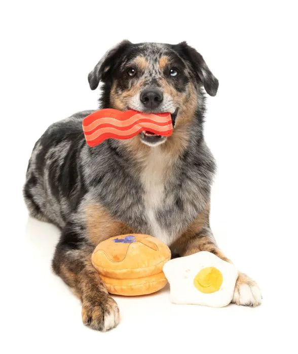 FuzzYard : dogs breakfast chien.jpg – photographie principale