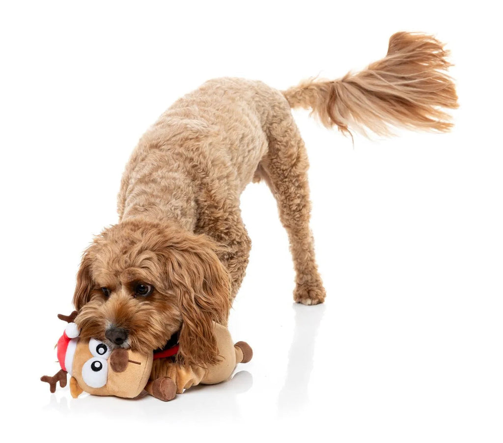 Un chien joue avec Domineck le Renne, peluche de Noël FuzzYard