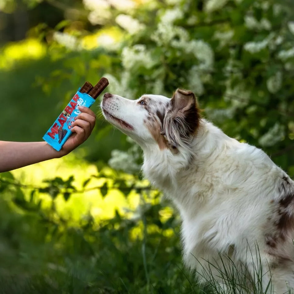 WOW Meat Bar Poulet – Friandise protéinée pour chien 40 g