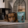 WOW Superfood Soft Bar Dinde – Friandise naturelle pour chien