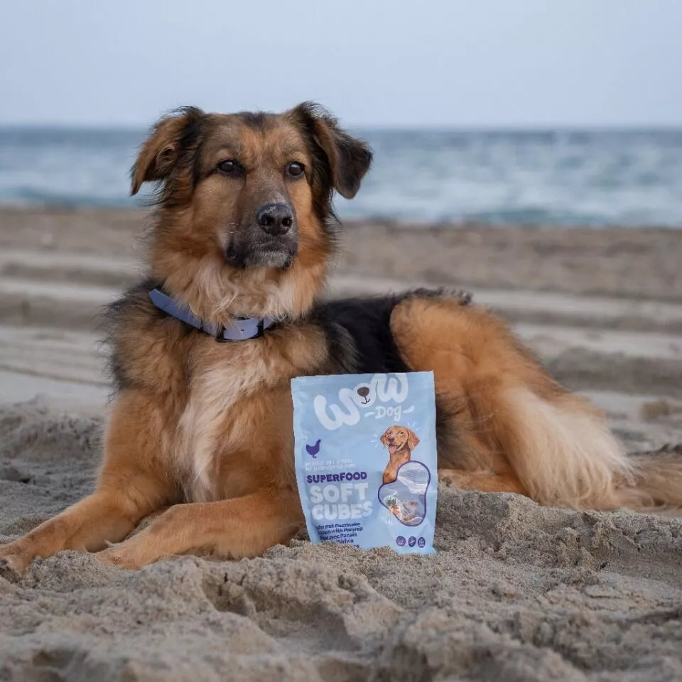 WOW Superfood Soft Cubes Poulet – Friandise naturelle pour chien