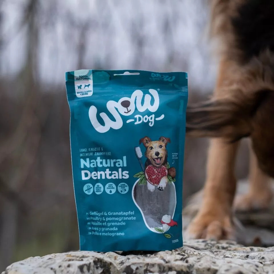 WOW – Soins dentaires pour chien à la volaille & grenade