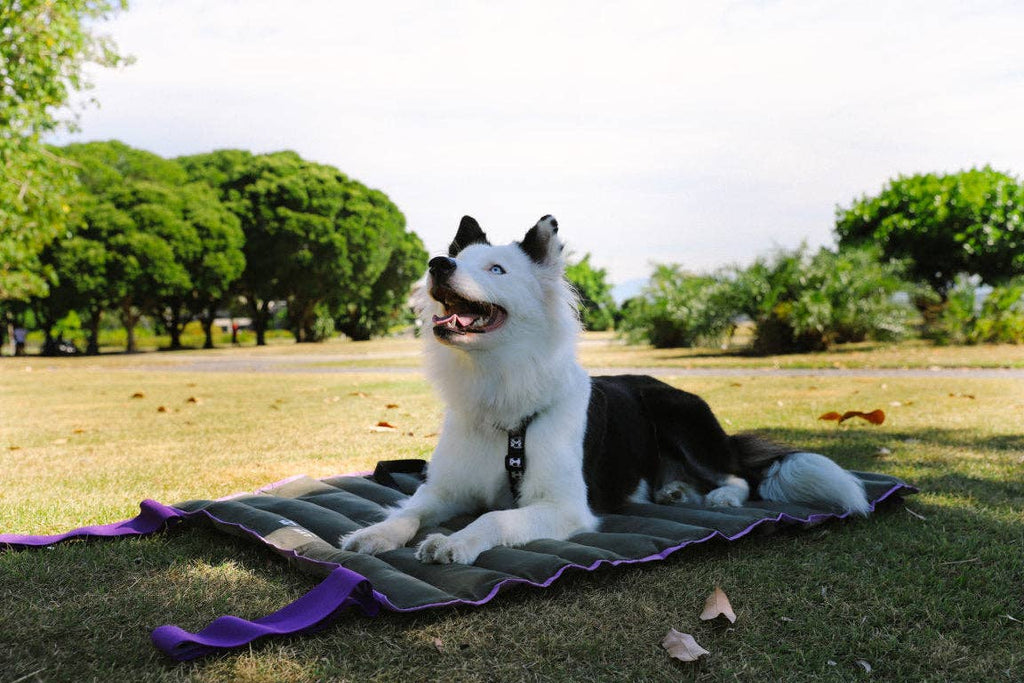 Matelas de voyage Air.Mat