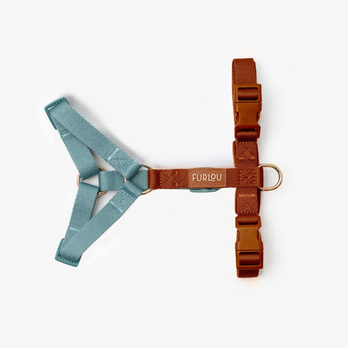 (Pré-commande)Harnais à sangles pour chien Furlou – Bleu & Clay
