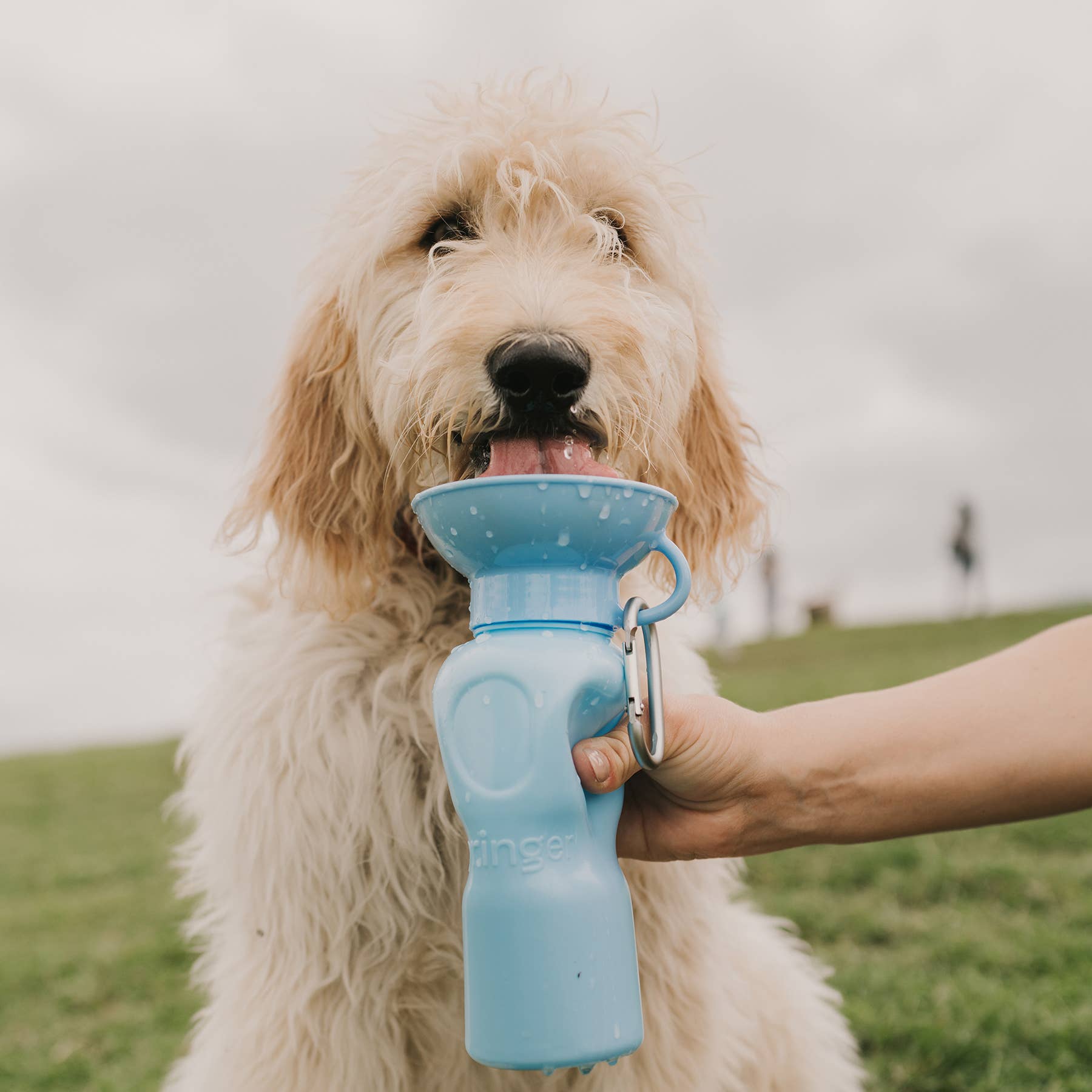 Springer Pet - Gourde 650ml
