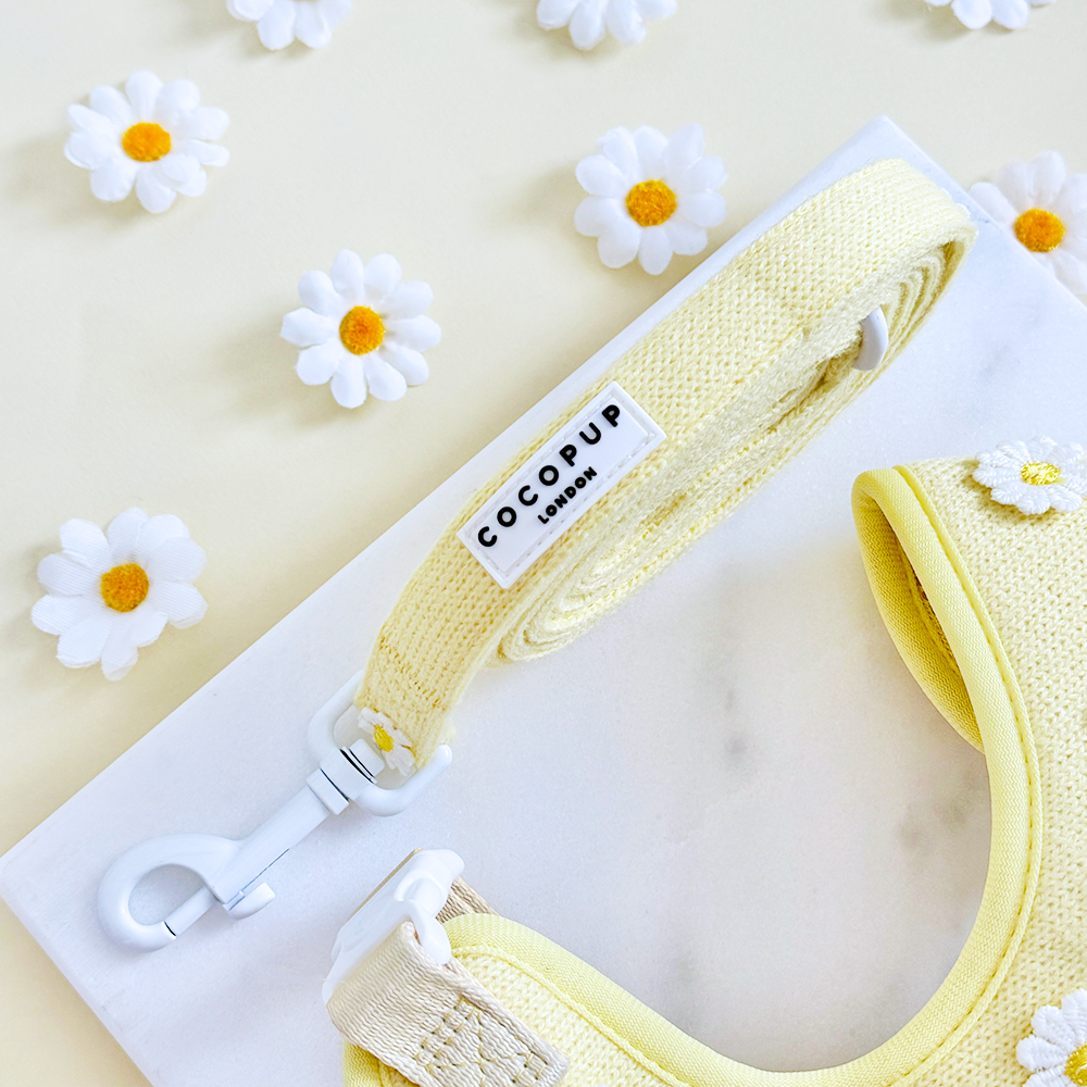 Laisse Buttercup Pup – Cocopup London