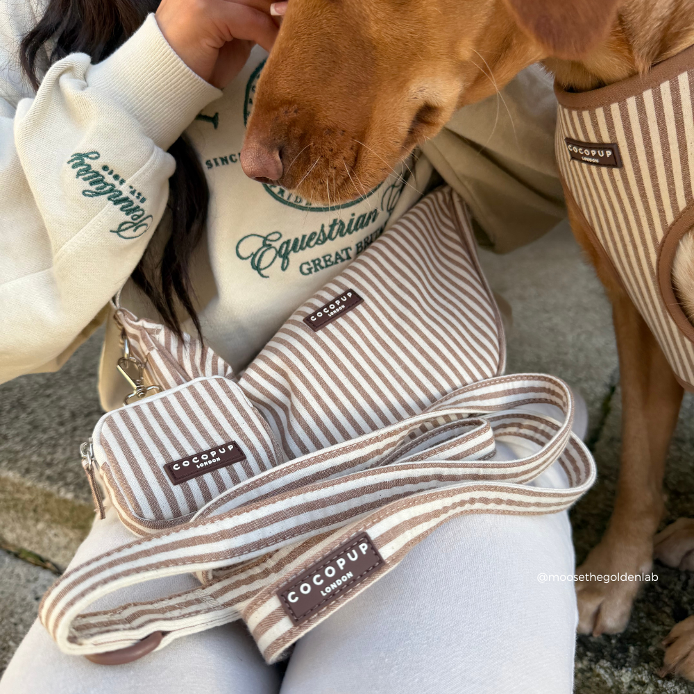 Laisse London Linen Taupe – Cocopup London