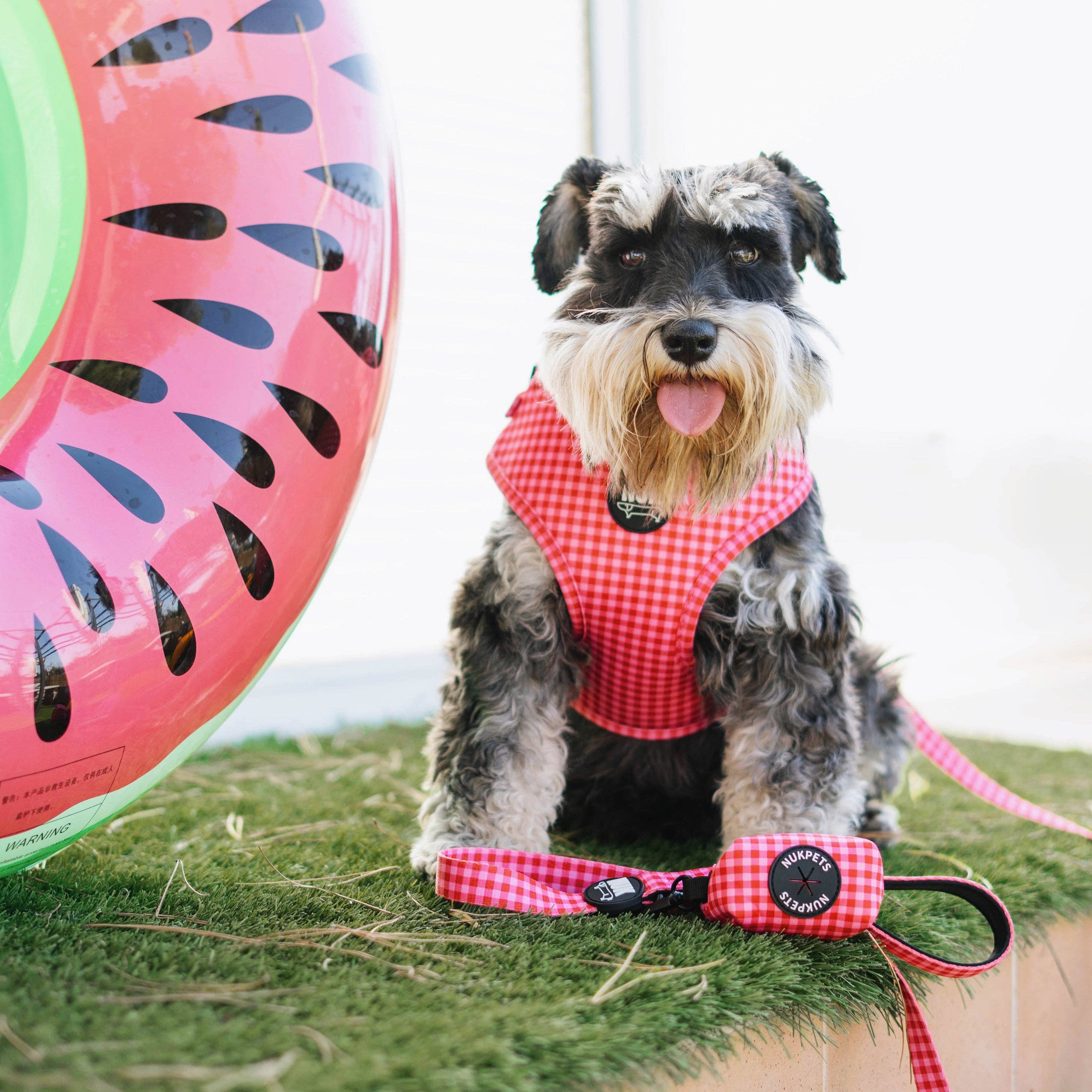 Tarte aux cerises Correa