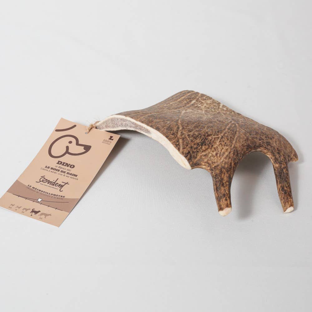 DINO - Bois de daim à mâcher pour chien