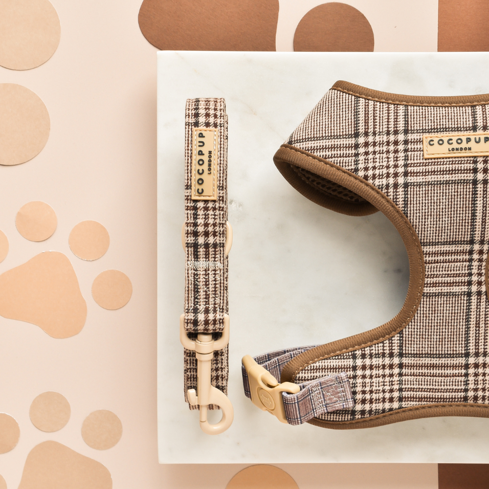 Laisse Check Pup Tweed Brun – Cocopup London